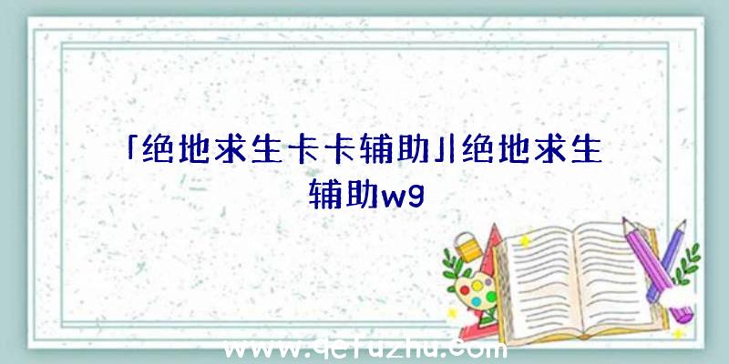 「绝地求生卡卡辅助」|绝地求生辅助wg